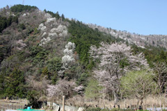 下河野地区