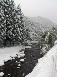 雪化粧のつり橋