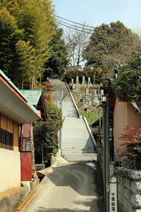 西蓮寺参道