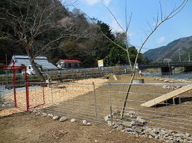ドッグラン場内風景