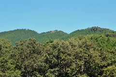 日名倉山
