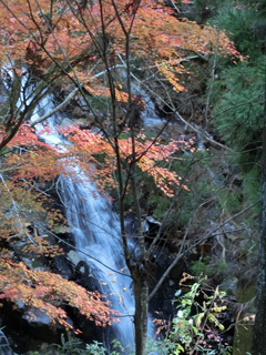 紅葉と滝
