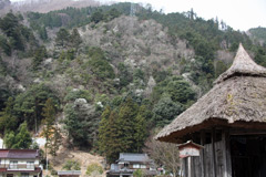 一里堂と咲き始めたコブシ