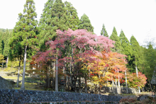 紅葉と山の神祠